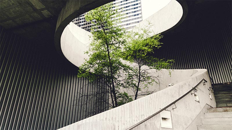 Urban staircase with tree